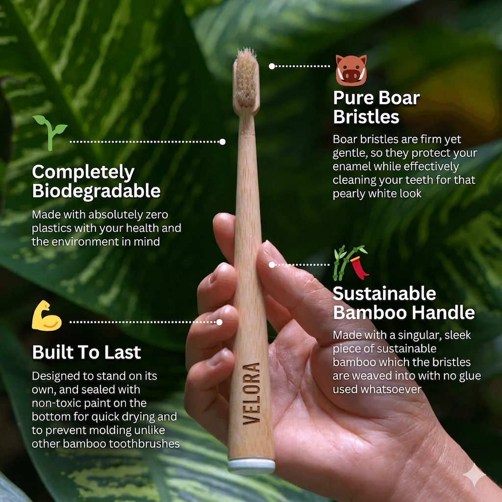 Velora Boar Bristle & Bamboo Toothbrush (4 Pack)